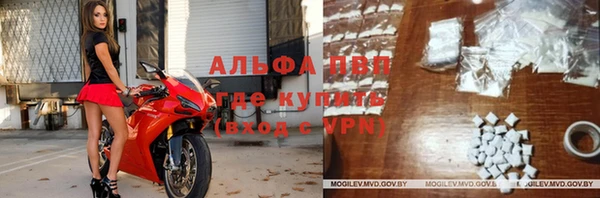 индика Володарск