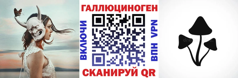 Псилоцибиновые грибы мицелий  Гай 